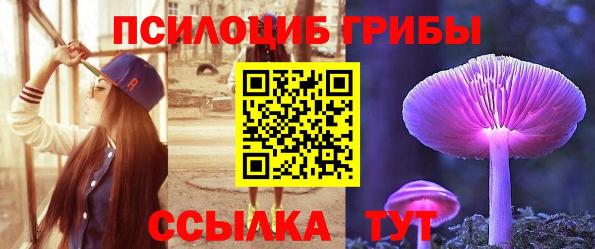 Галлюциногенные грибы Psilocybine cubensis Моршанск